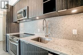 Toronto (Niagara) condo for rent - A kitchen with a granite countertop and a stainless steel sink.