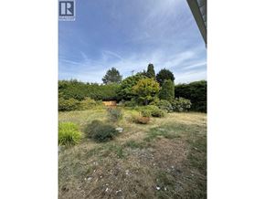 Vancouver apartment for rent - A garden with a variety of plants and trees.