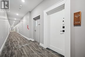 Guelph (Pineridge/Westminster Woods) condo for rent - A hallway with doors numbered 204 and 205.