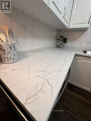 Welland (Prince Charles) condo for rent - A kitchen counter with a marble surface and a plant on the side.