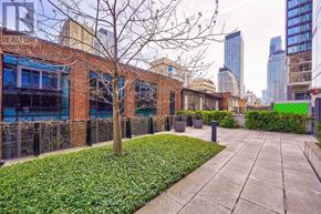 Toronto (Bay Street Corridor) condo for rent - A tree stands in a grassy area in front of a brick building.