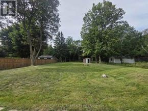 Clarington (Courtice) apartment for rent - A yard with a tree and a shed.