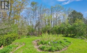 East Gwillimbury (Holland Landing) apartment for rent - BASEMENT - 45 FRENCH CRESCENT Basement