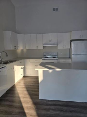 Sault Ste. Marie apartment for rent - A kitchen with white cabinets and appliances.