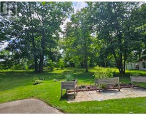 Petawawa apartment for rent - A backyard with a bench and a small tree.