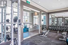 Toronto (Waterfront Communities) condo for rent - A gym with a variety of equipment including weights and weight machines.