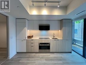 Toronto (Moss Park) townhouse for rent - A modern kitchen with a flat screen TV above the sink.
