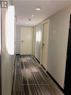 Toronto (Mount Pleasant West) condo for rent - A hallway with striped carpeting and white walls.
