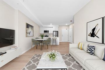 Napanee apartment for rent - A living room with a white couch and a grey and white patterned rug.