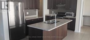 Haldimand apartment for rent - A kitchen with a stainless steel refrigerator and a sink.