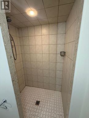 Milton (Cl Clarke) apartment for rent - A shower with a white tile floor and walls.