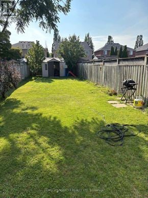 Mississauga (Meadowvale Village) apartment for rent - A backyard with a lawn, a fence, and a shed.