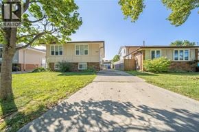 Windsor apartment for rent - A residential street with houses on both sides and a tree on the left.