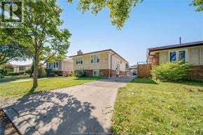 Windsor apartment for rent - A residential area with houses and a tree in the foreground.