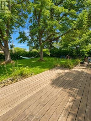 Welland (N. Welland) apartment for rent - A wooden deck leads to a green backyard with a hammock.