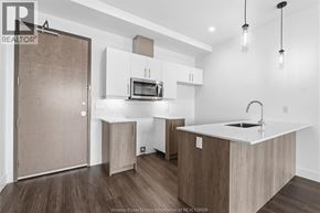 Windsor condo for rent - A kitchen with a sink, microwave, and cabinets.