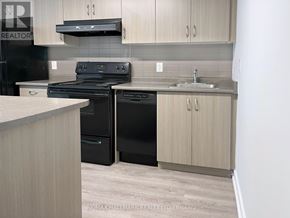 Toronto (Moss Park) condo for rent - A kitchen with a black stove and black dishwasher.