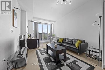 Ottawa condo for rent - A modern living room with a grey sofa and a black and white rug.