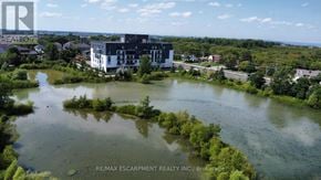 Hamilton condo for rent - A bird's eye view of a lake surrounded by buildings and trees.