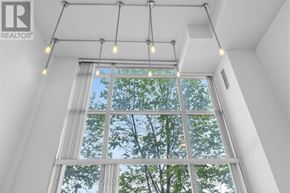 Toronto (Mimico) condo for rent - A window with a view of trees and sky.