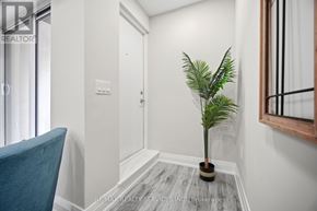 Vaughan (Vaughan Grove) townhouse for rent - A small potted palm tree sits on a wooden floor in a white hallway.