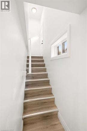 Kitchener apartment for rent - A staircase with wooden steps and white railings.