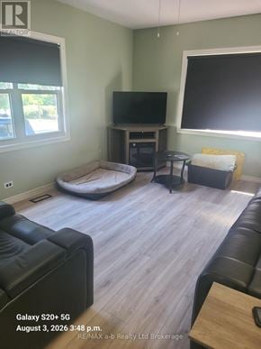Woodstock (Woodstock - South) apartment for rent - A living room with a flat screen TV and a bean bag chair.