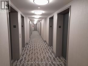 Toronto (Lansing-Westgate) condo for rent - A long hallway with doors on both sides and a light on the ceiling.