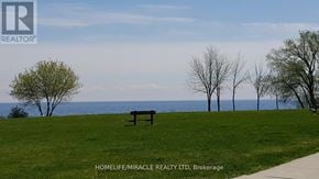 Toronto (New Toronto) multi-family for rent - A bench sits in the middle of a grassy field with trees and the ocean in the background.