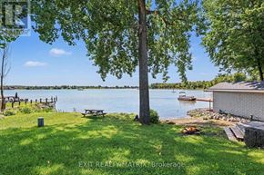 Champlain apartment for rent - A tree stands in a grassy area overlooking a body of water.