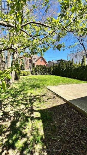 Hamilton (Stoney Creek) apartment for rent - A backyard with a wooden deck and a tree branch in the foreground.