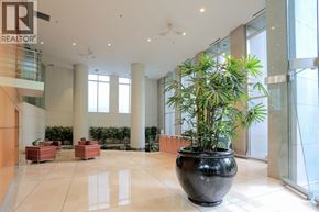 Vancouver apartment for rent - A large black pot with a green plant in it sits in the middle of a white tiled floor.