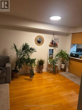 Mississauga (City Centre) condo for rent - A living room with a couch, a mirror, and a potted plant.