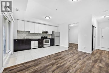 Mississauga condo for rent - A kitchen with white cabinets and black countertops.