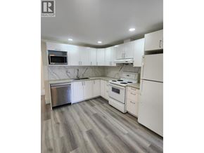 Burnaby apartment for rent - A kitchen with white cabinets and a marble backsplash.