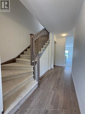 Loyalist (Bath) apartment for rent - A staircase with a beige carpeted runner and wooden handrail.