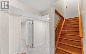 Brampton (Madoc) apartment for rent - BSMNT - 88 SHOWBOAT CRESCENT BSMNT