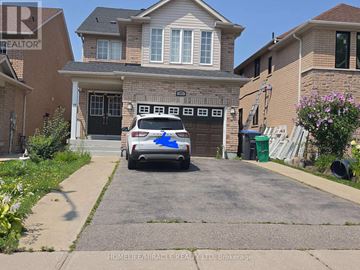 Brampton (Fletcher's Creek South) apartment for rent - BASEMENT - 59 ROLLINGWOOD DRIVE Basement