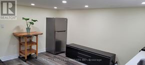 Toronto (Weston-Pellam Park) apartment for rent - A kitchen area with a refrigerator, a wooden cart with a plant on it, and a black countertop.