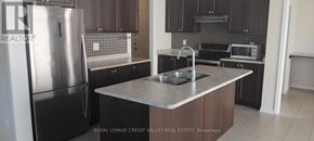 Haldimand apartment for rent - A kitchen with a stainless steel refrigerator and a sink.