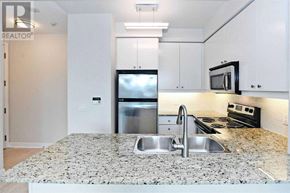 Toronto (Waterfront Communities) condo for rent - A kitchen with granite countertops and stainless steel appliances.