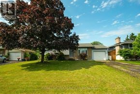 Port Colborne (Main Street) apartment for rent - A tree with red leaves stands in a green lawn in front of a house.