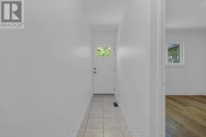 Toronto (Woburn) apartment for rent - A hallway with a white door and a window with greenery visible outside.