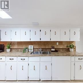 Toronto (Trinity-Bellwoods) apartment for rent - A kitchen with white cabinets and a countertop with a sink and plants.
