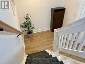 Collingwood apartment for rent - A plant sits on a wooden floor next to a white staircase.
