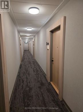Toronto (Downsview-Roding-Cfb) condo for rent - A long hallway with doors on both sides.