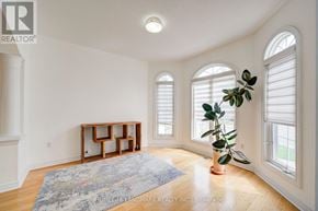 Markham (Wismer) apartment for rent - A room with a rug, a plant, and a wooden shelf.