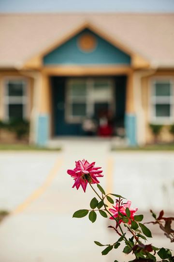 Powell apartment for rent - A flower in front of a blue door.