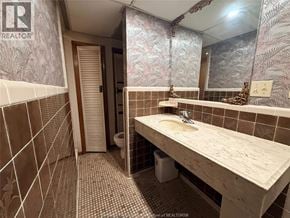 Windsor apartment for rent - A bathroom with a sink, toilet, and a mirror.