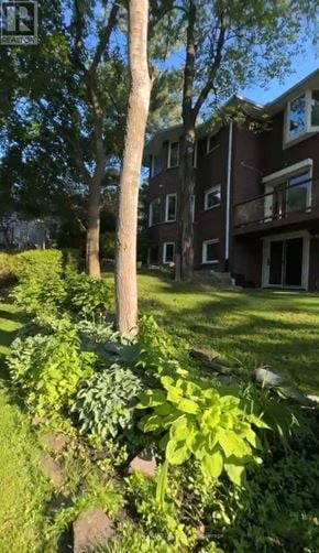 Mississauga (Clarkson) apartment for rent - A tree in a grassy area in front of a building.